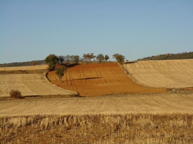 Imagen de Lanzuela mapa 44491 2 