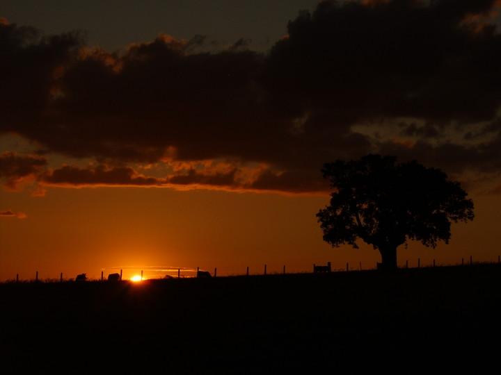 Imagen de Larrodrigo mapa 37865 5 