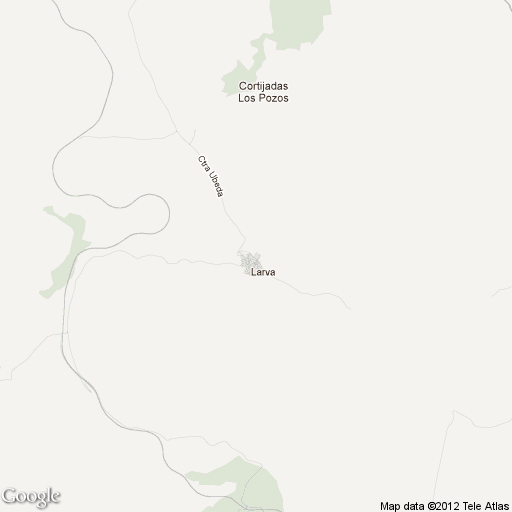Imagen de Larva mapa 23591 1 