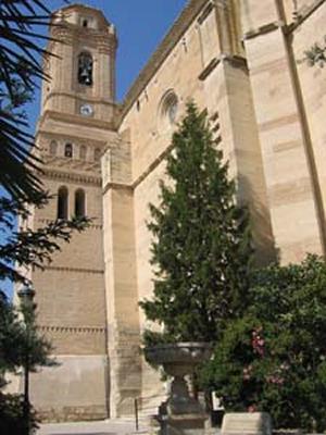 Imagen de Leciñena mapa 50160 5 