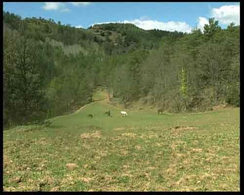 Imagen de Les Llosses mapa 17512 6 