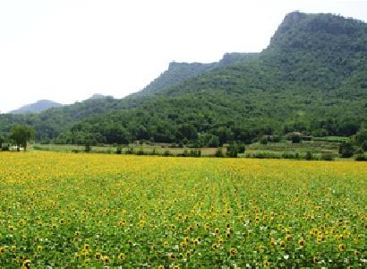 Imagen de Les Preses mapa 17178 6 