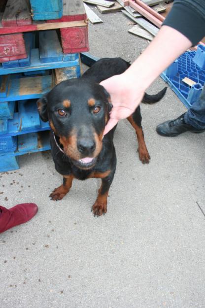 Imagen de Librilla mapa 30892 5 