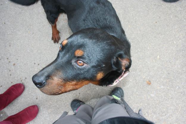 Imagen de Librilla mapa 30892 6 