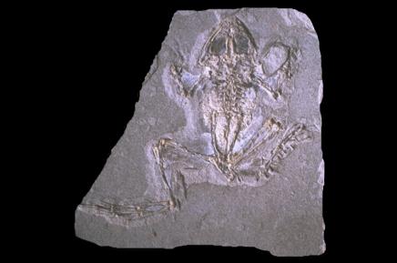 Imagen de Libros mapa 44132 5 