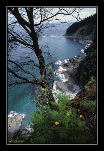 Imagen de Likona mapa 48289 3 