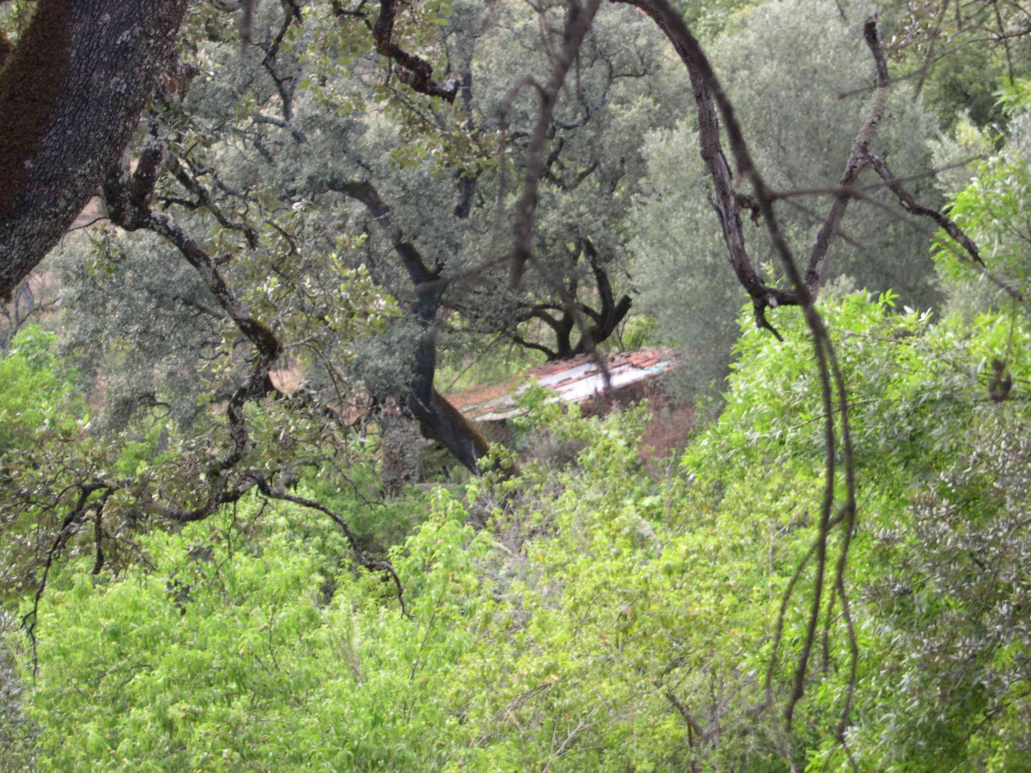 Imagen de Linares de la Sierra mapa 21207 2 