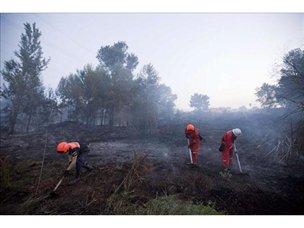 Imagen de Llombai mapa 46195 6 
