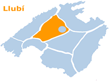 Imagen de Llubí mapa 07430 5 