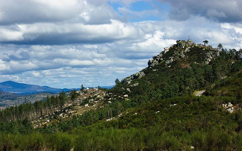 Imagen de Lobeira mapa 32850 3 