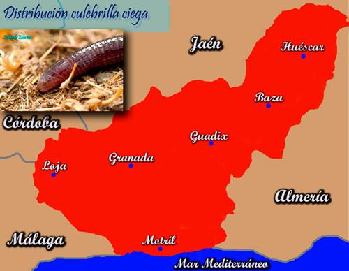 Imagen de Loja mapa 18300 3 