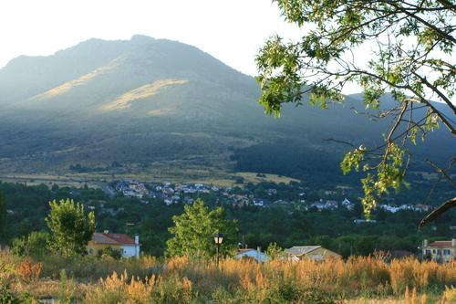 Imagen de Los Molinos mapa 28460 6 