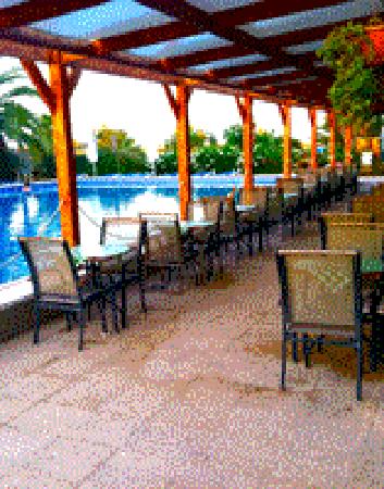 Imagen de Los Montesinos mapa 03187 6 