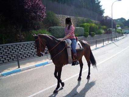 Imagen de Los Santos de la Humosa mapa 28817 5 