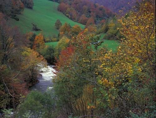 Imagen de Los Tojos mapa 39518 2 