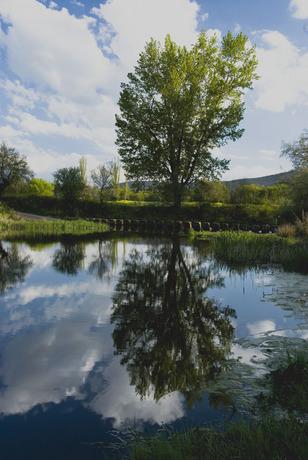 Imagen de Luciana mapa 13108 2 