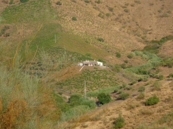 Imagen de Macharaviaya mapa 29791 5 