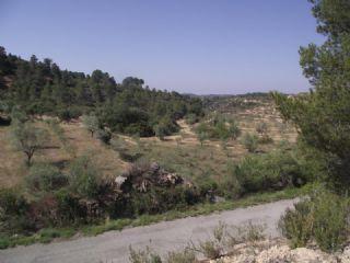 Imagen de Maials mapa 25179 3 