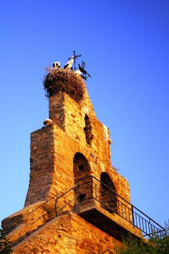 Imagen de Maire de Castroponce mapa 49783 5 