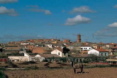 Imagen de Mallén mapa 50550 2 