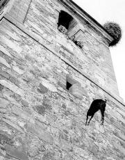 Imagen de Manganeses de la Polvorosa mapa 49694 4 