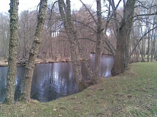 Imagen de Manzanal de los Infantes mapa 49317 2 