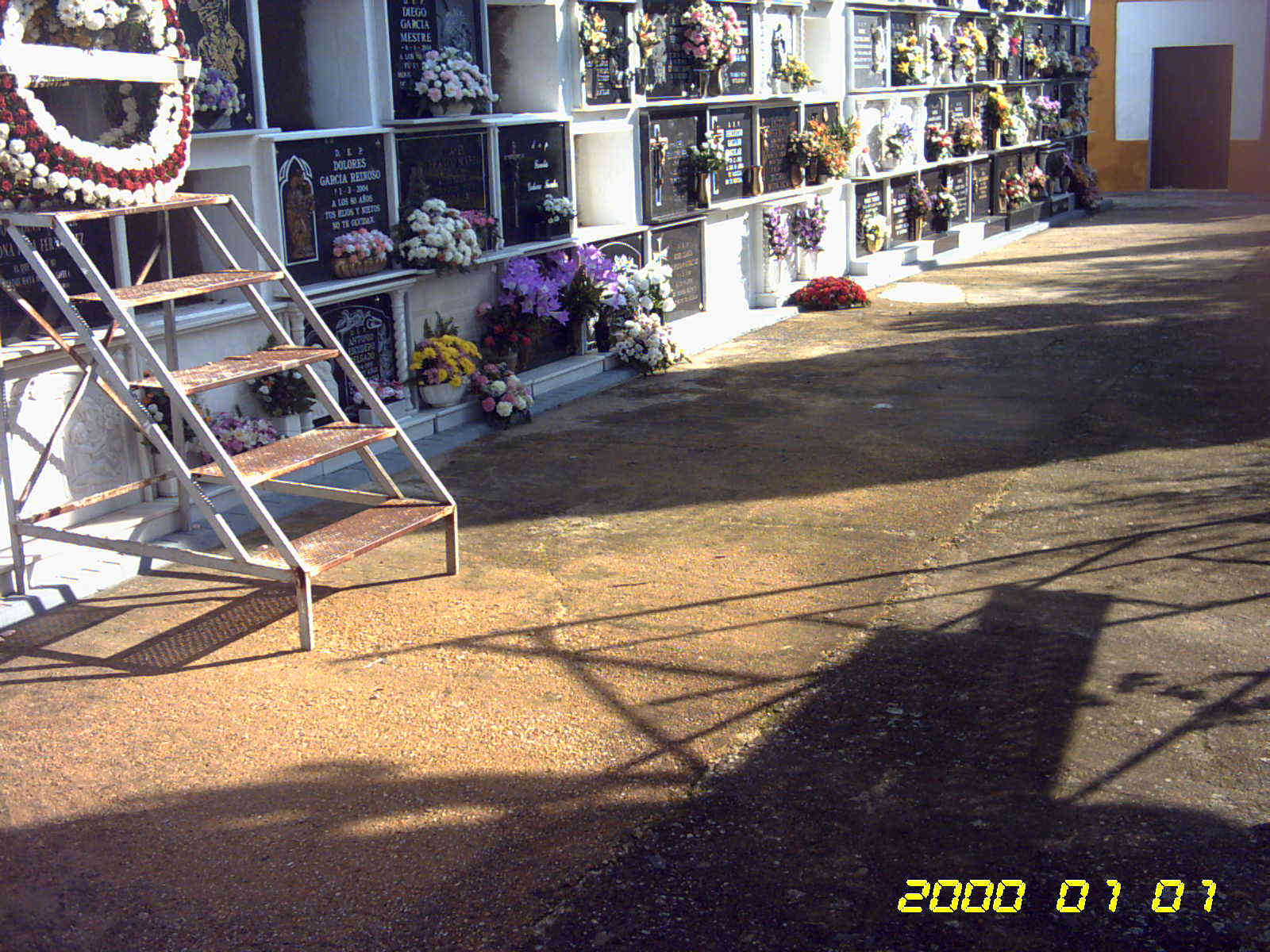 Imagen de Manzanilla mapa 21890 5 