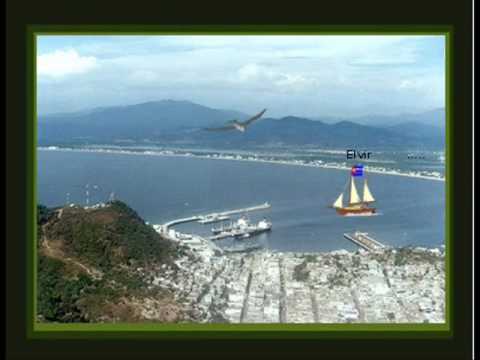 Imagen de Manzanillo mapa 45130 5 