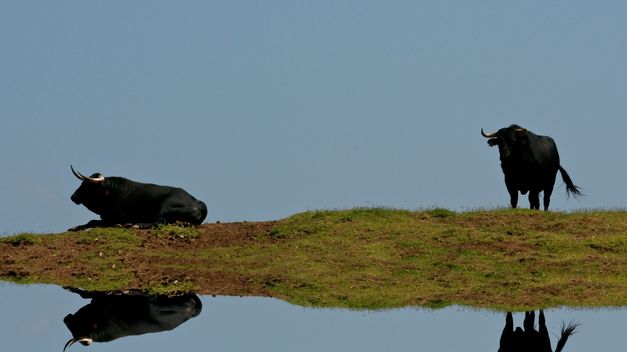 Imagen de Masdenverge mapa 43878 2 