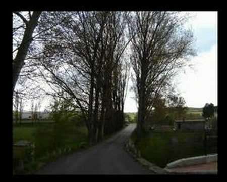 Imagen de Masegoso mapa 02314 4 