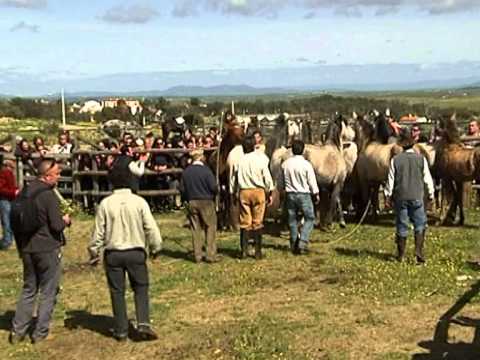Imagen de Mata de Alcántara mapa 10970 3 