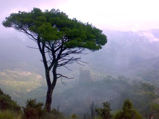 Imagen de Matadepera mapa 08230 6 