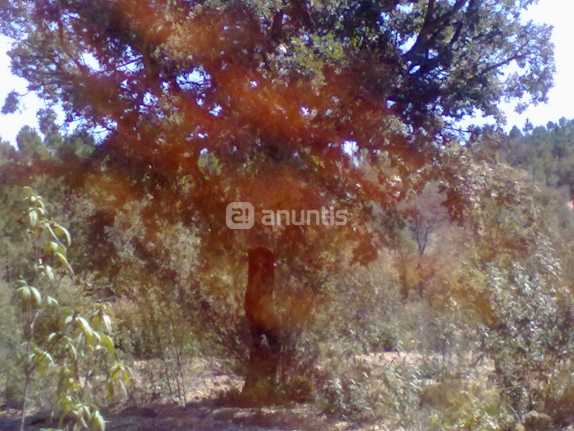 Imagen de Mayalde mapa 49718 6 