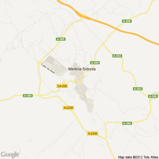 Imagen de Medina-Sidonia mapa 11170 3 