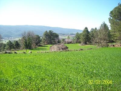 Imagen de Mediona mapa 08773 5 