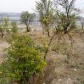 Imagen de Megeces mapa 47440 5 