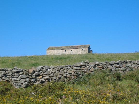 Imagen de Merindad de Valdeporres mapa 09557 5 