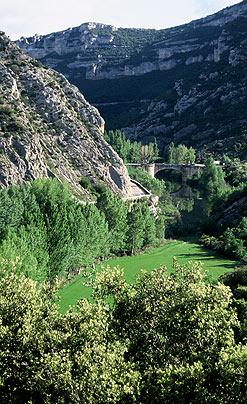 Imagen de Merindad de Valdivielso mapa 09559 1 