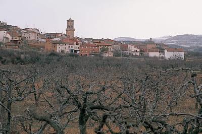 Imagen de Miedes de Aragón mapa 50330 4 