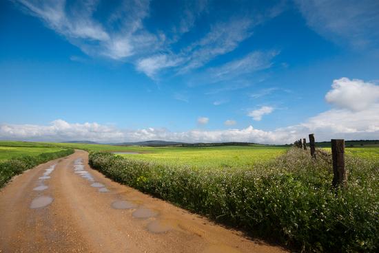 Imagen de Miguelturra mapa 13170 3 