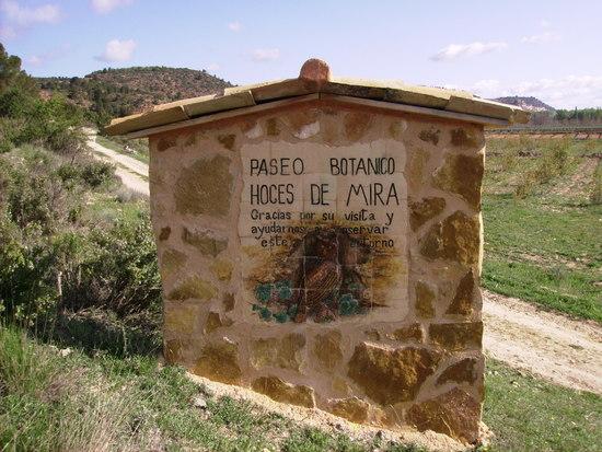 Imagen de Mira mapa 16393 3 