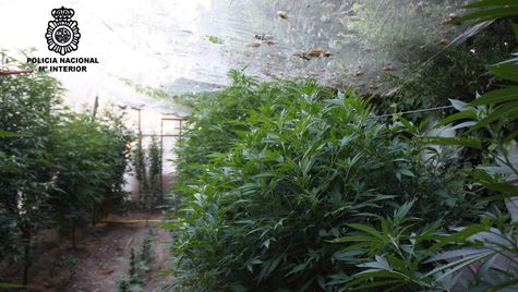 Imagen de Miralcamp mapa 25242 2 