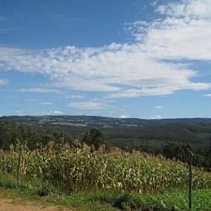 Imagen de Moeche mapa 15563 2 