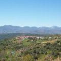 Imagen de Molinillo mapa 37683 6 