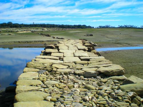 Imagen de Monleras mapa 37171 2 