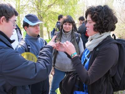 Imagen de Monleras mapa 37171 4 