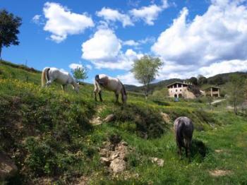 Imagen de Montagut mapa 17855 4 