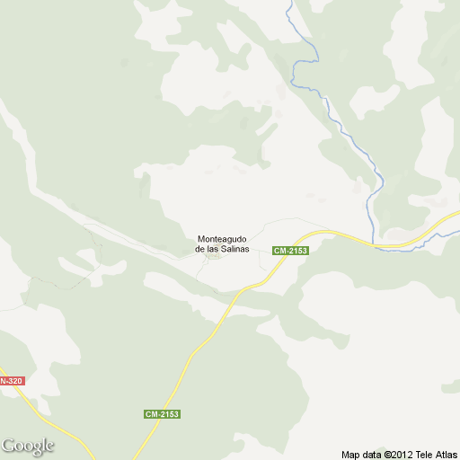 Imagen de Monteagudo de las Salinas mapa 16360 2 