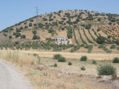 Imagen de Montejícar mapa 18561 2 