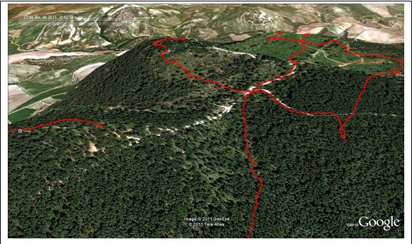 Imagen de Montellano mapa 41770 3 